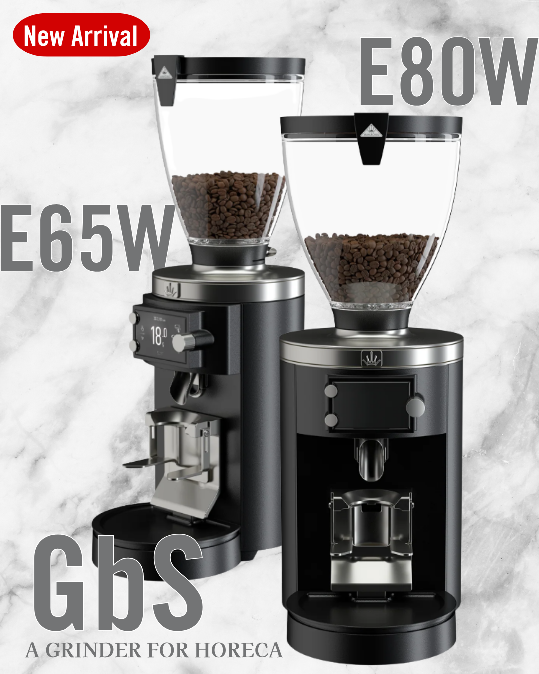 E65W_ E80W GbS 